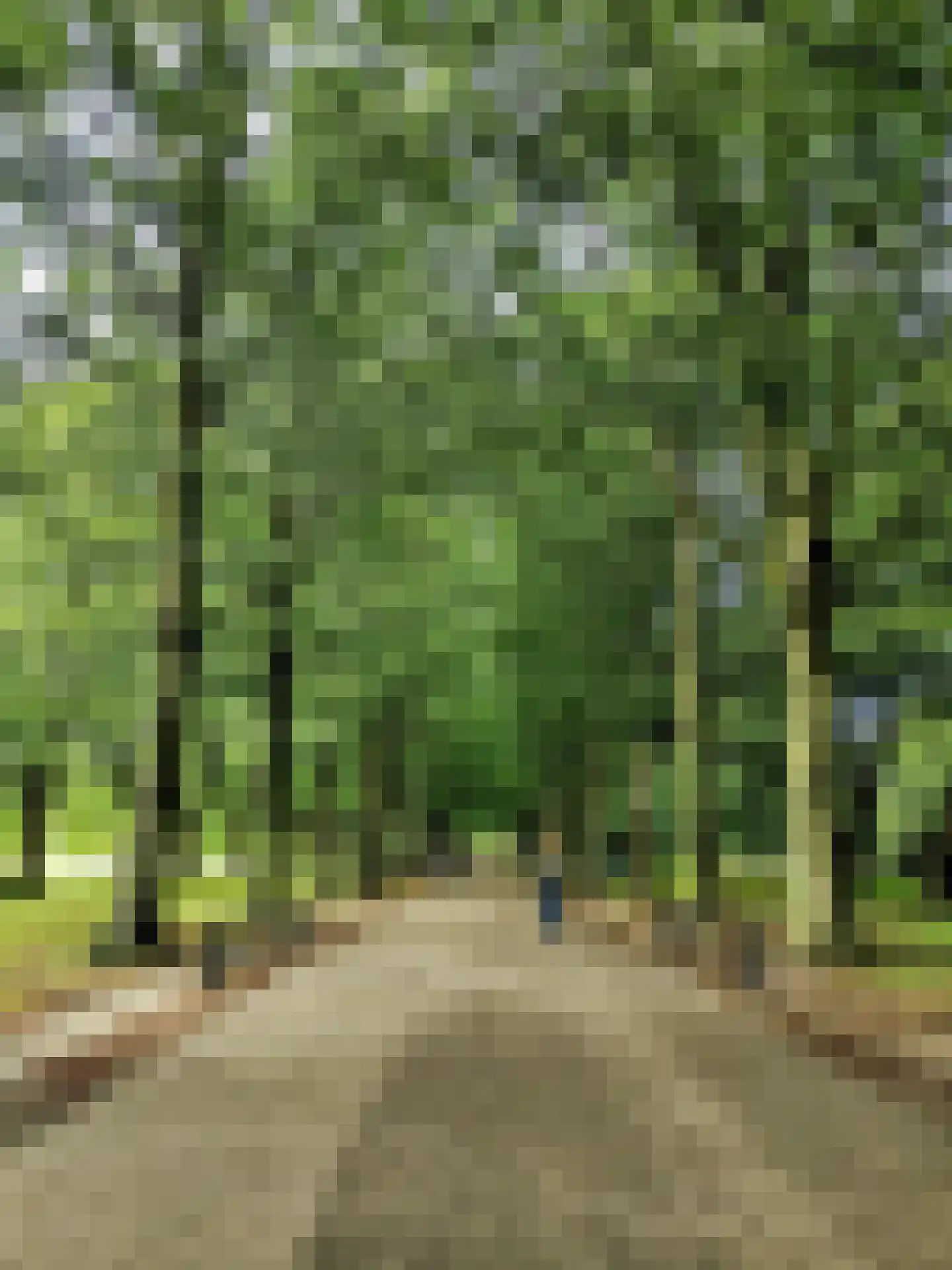 Wilhelminastraat 67 1 Amsterdam thumbnail 25