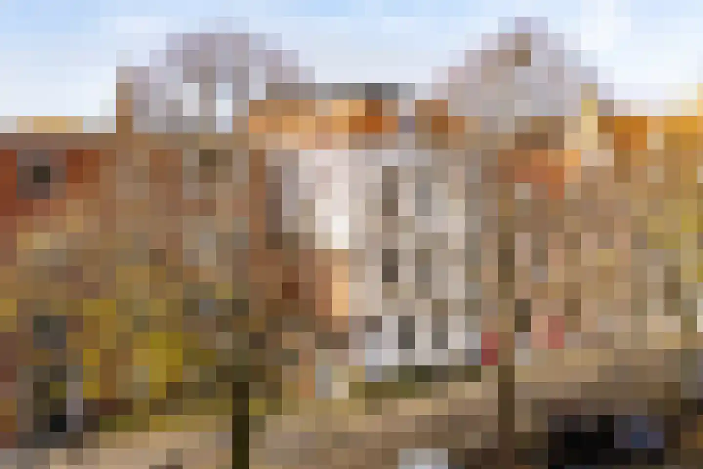 Wilhelminastraat 67 a in Vlissingen