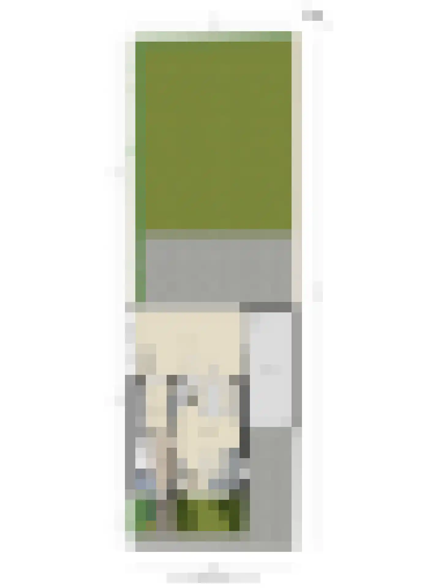 Wilhelminastraat 67 Kortgene thumbnail 37