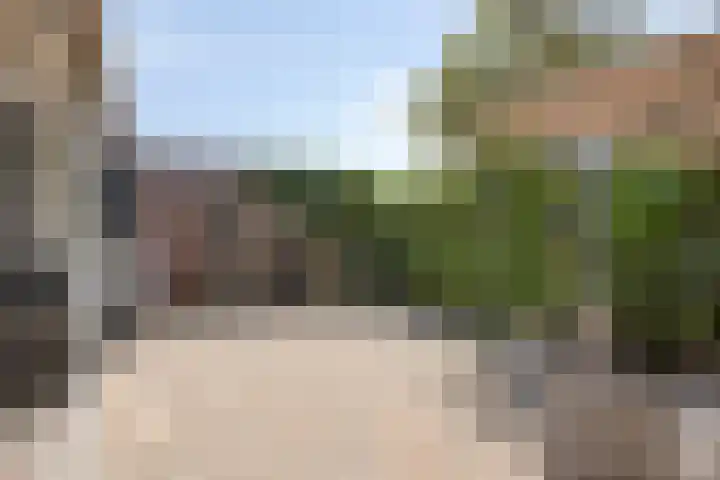 Wilhelminastraat 67 Sint Philipsland thumbnail 48