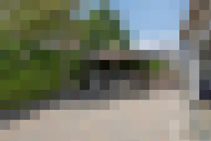 Wilhelminastraat 67 Sint Philipsland thumbnail 6