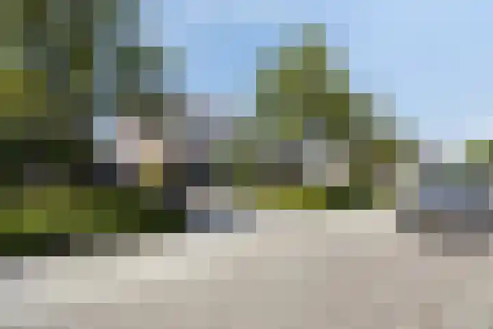 Wilhelminastraat 67 Sint Philipsland thumbnail 7