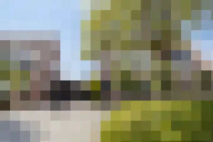 Wilhelminastraat 67 Sint Philipsland thumbnail 8
