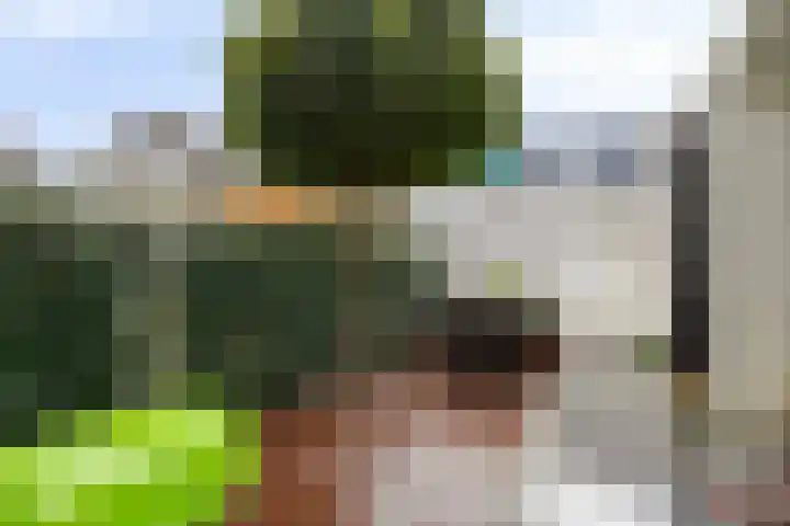 Wilhelminastraat 68 Vlaardingen thumbnail 15