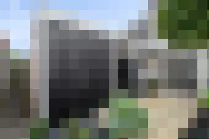 Wilhelminastraat 68 Vlaardingen thumbnail 17