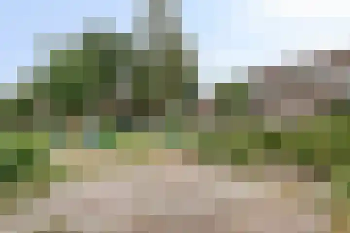 Wilhelminastraat 68 Vlaardingen thumbnail 35