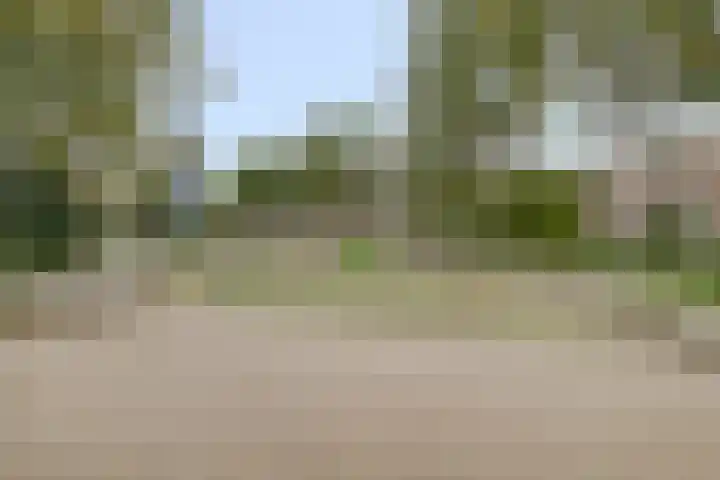 Wilhelminastraat 68 Vlaardingen thumbnail 36