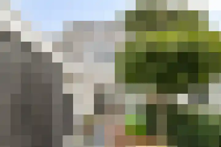Wilhelminastraat 68 Vlaardingen thumbnail 5
