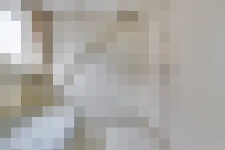 Wilhelminastraat 68 Wemeldinge thumbnail 24