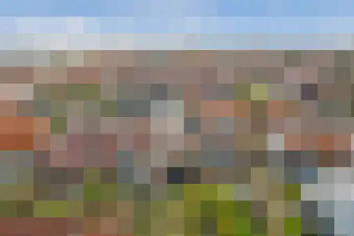 Wilhelminastraat 68 Wemeldinge thumbnail 31