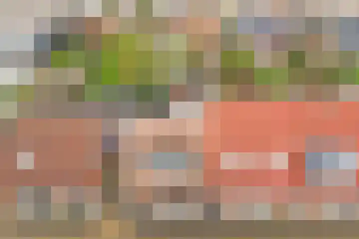 Wilhelminastraat 68 Wemeldinge thumbnail 33