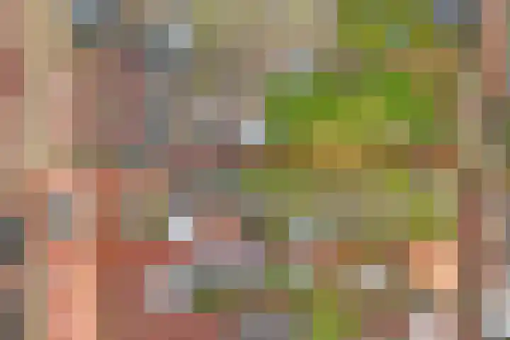 Wilhelminastraat 68 Wemeldinge thumbnail 34