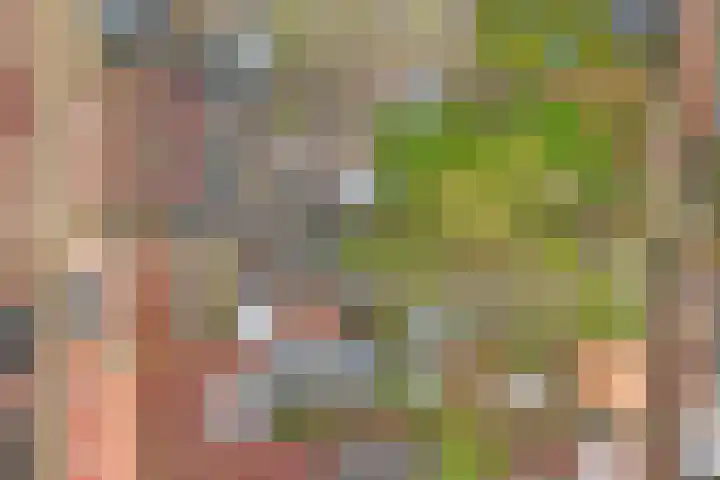 Wilhelminastraat 68 Wemeldinge thumbnail 35