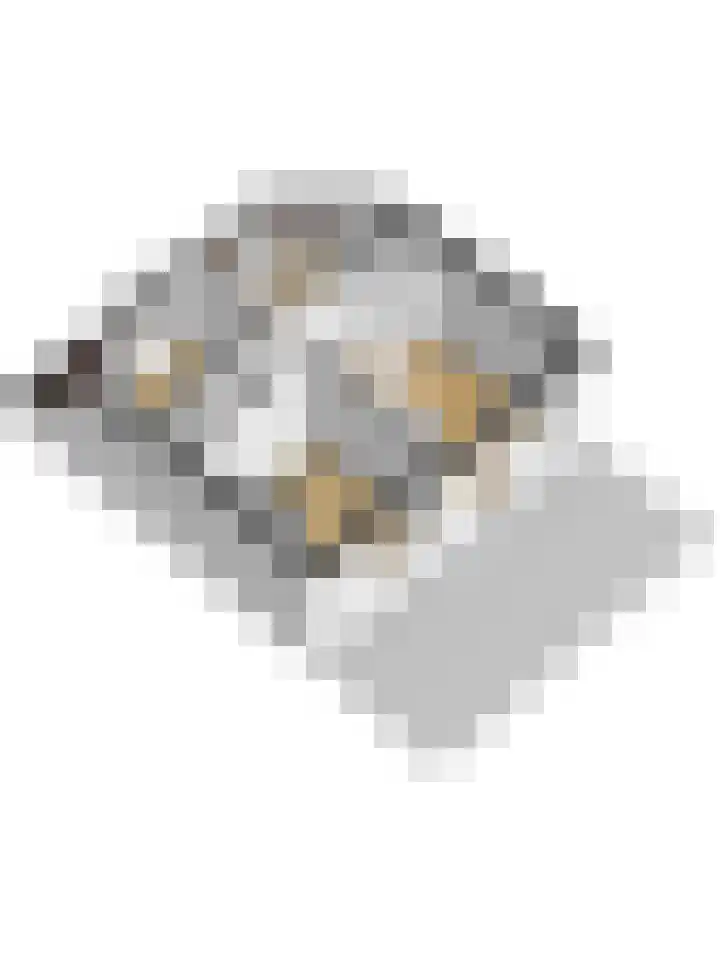 Wilhelminastraat 68 Wemeldinge thumbnail 40
