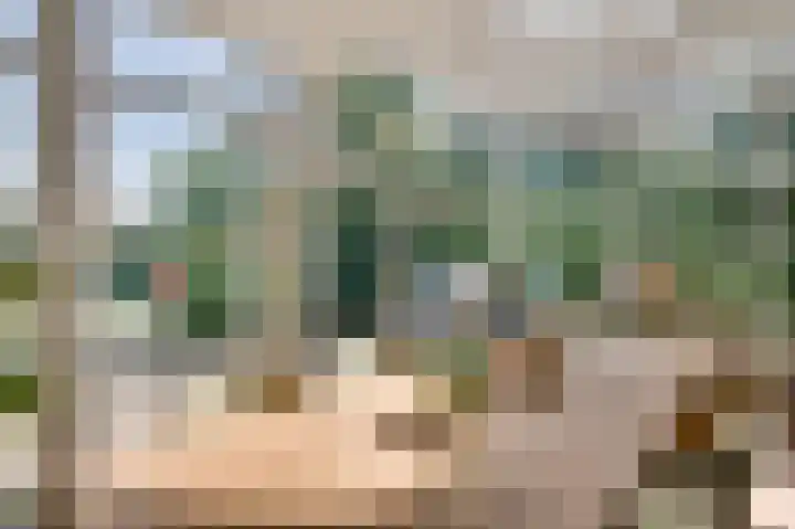 Wilhelminastraat 69 Eijsden thumbnail 10
