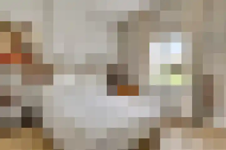 Wilhelminastraat 69 Eijsden thumbnail 12