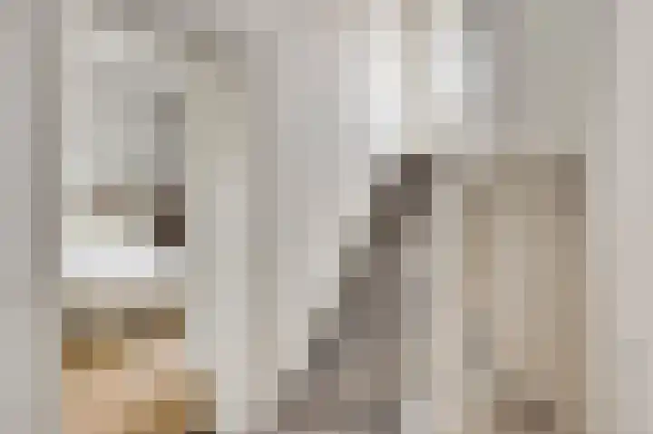 Wilhelminastraat 69 Eijsden thumbnail 17