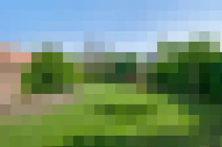 Wilhelminastraat 69 Eijsden thumbnail 25