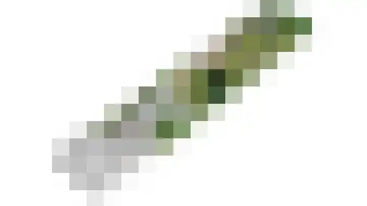 Wilhelminastraat 69 Eijsden thumbnail 28