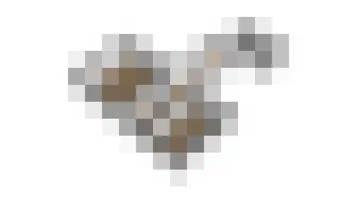 Wilhelminastraat 69 Eijsden thumbnail 36