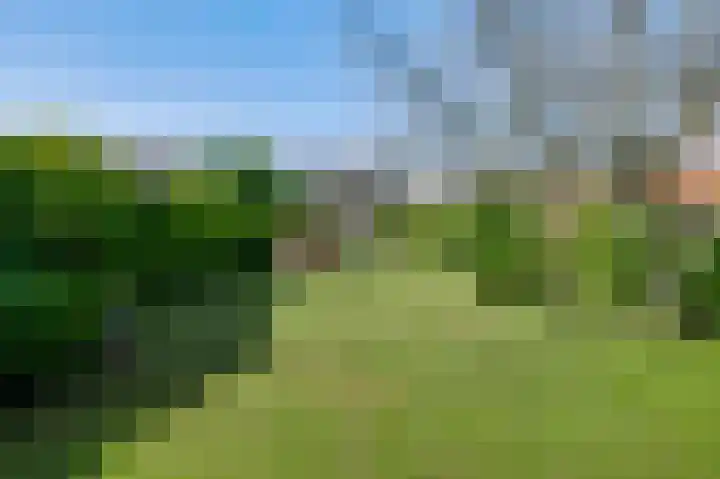 Wilhelminastraat 69 Eijsden thumbnail 4