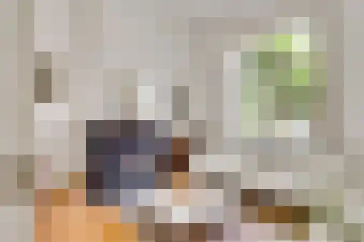 Wilhelminastraat 69 Eijsden thumbnail 6
