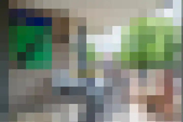 Wilhelminastraat 7 4 Sittard thumbnail 30