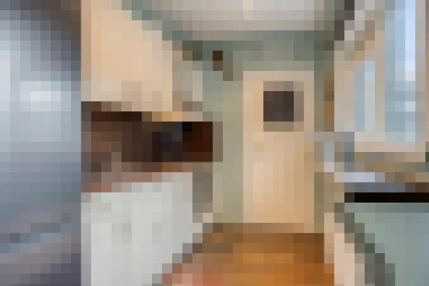 Wilhelminastraat 7 Dinteloord thumbnail 10
