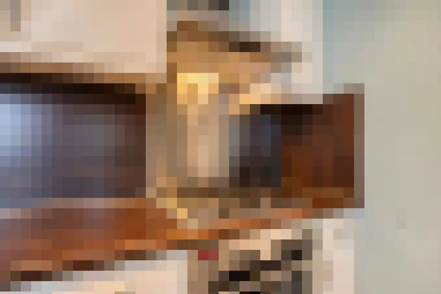 Wilhelminastraat 7 Dinteloord thumbnail 12