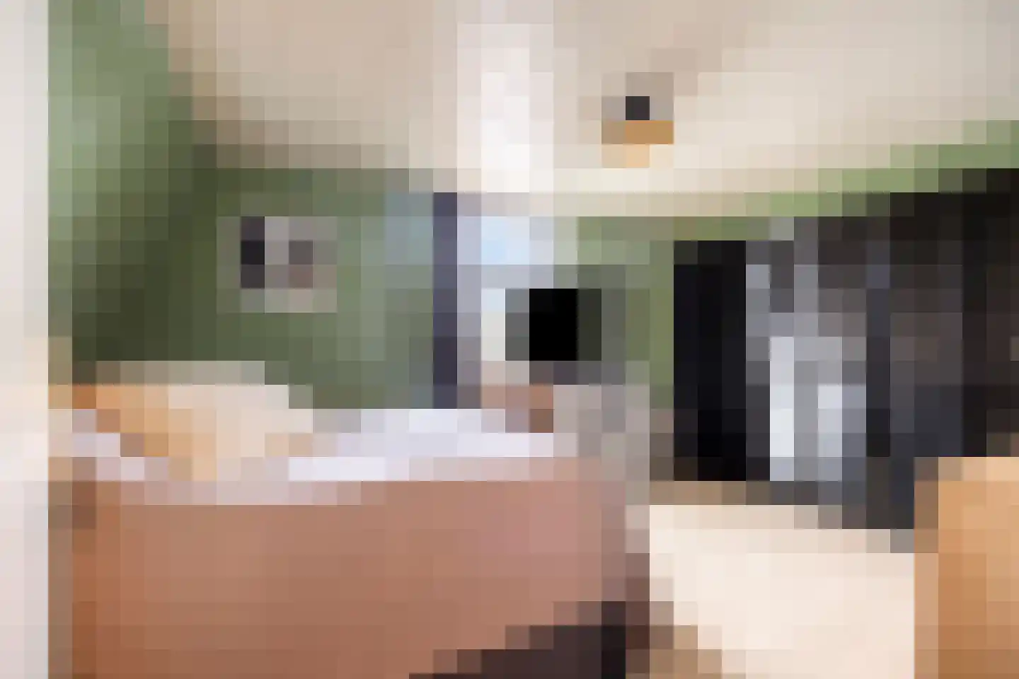 Wilhelminastraat 7 Dinteloord thumbnail 20