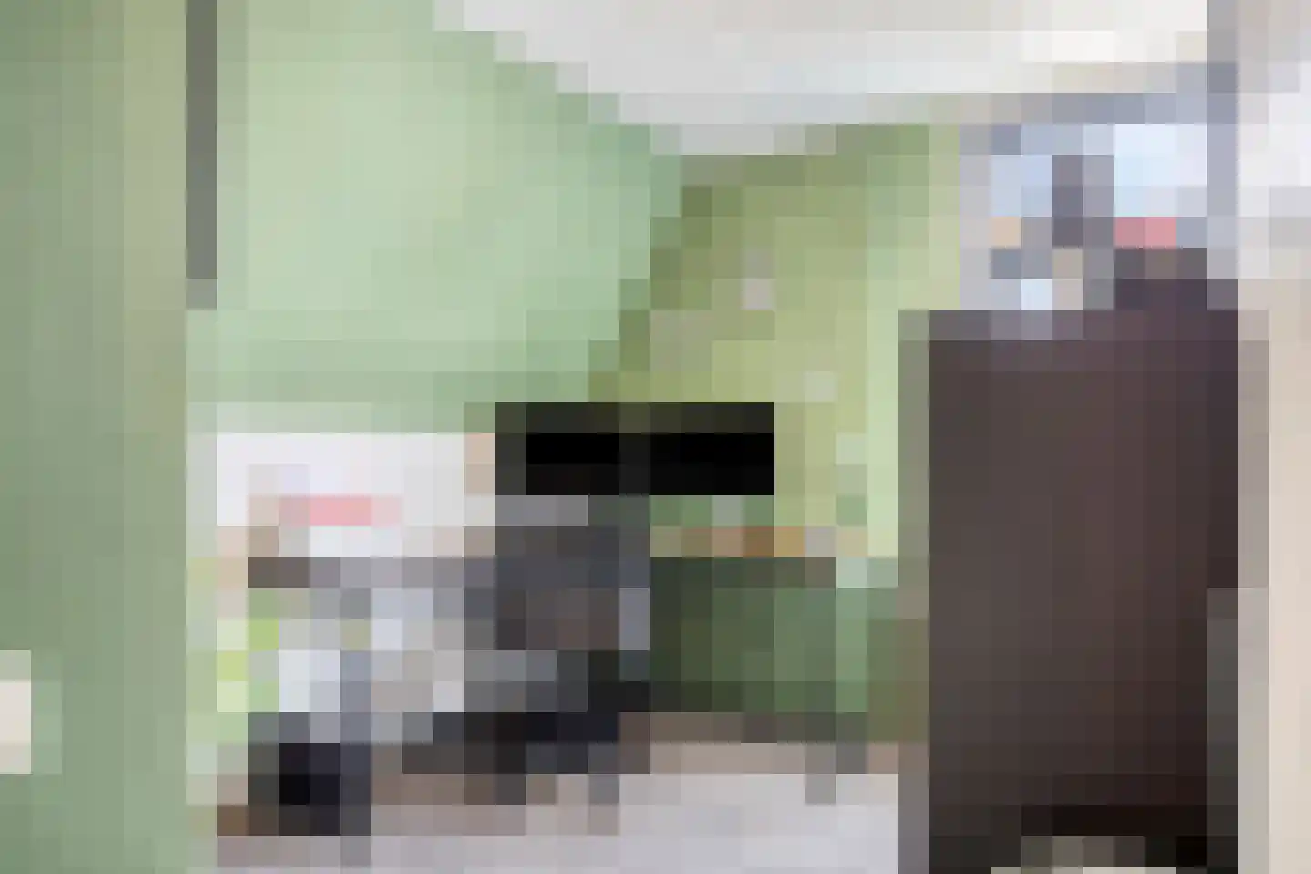 Wilhelminastraat 7 Dinteloord thumbnail 22