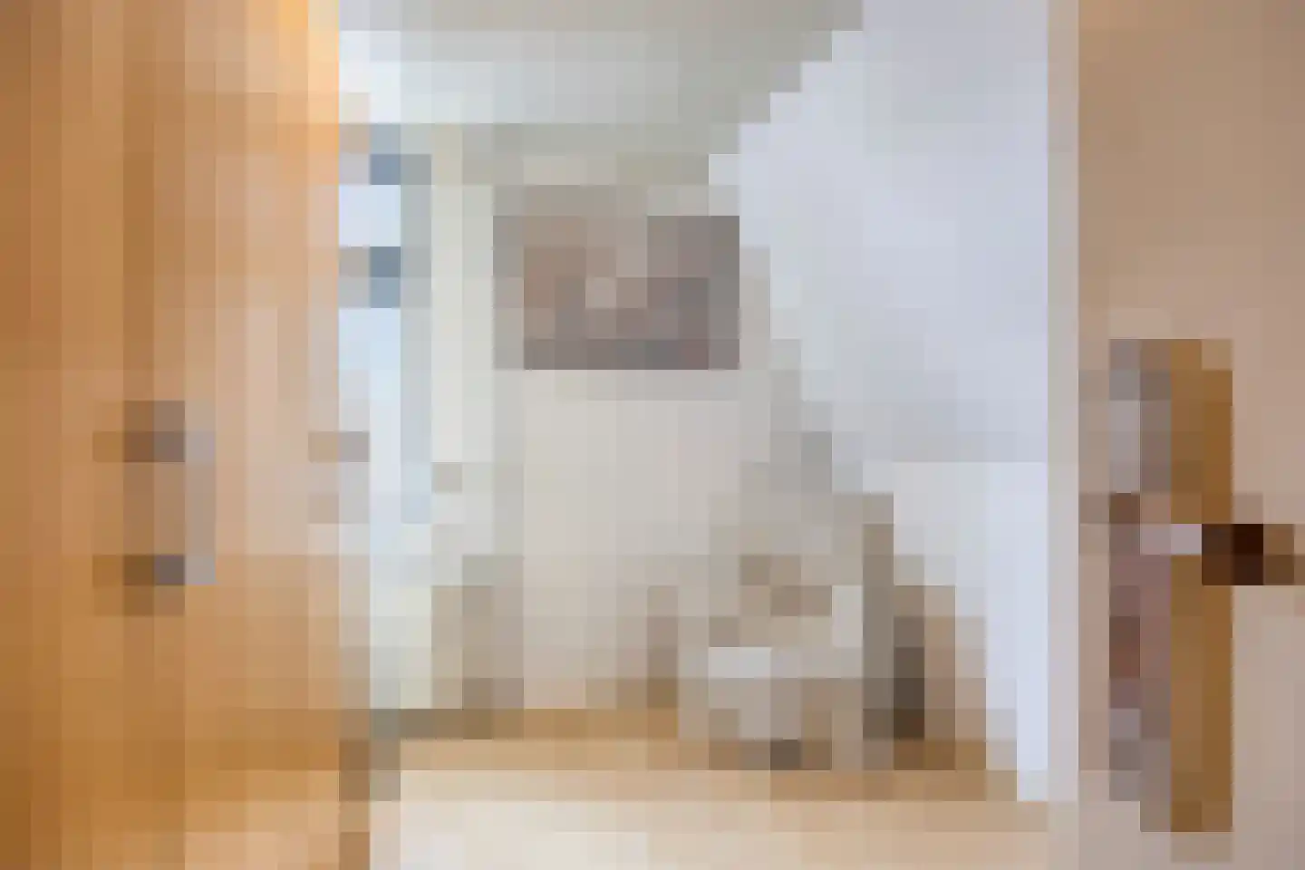Wilhelminastraat 7 Dinteloord thumbnail 23