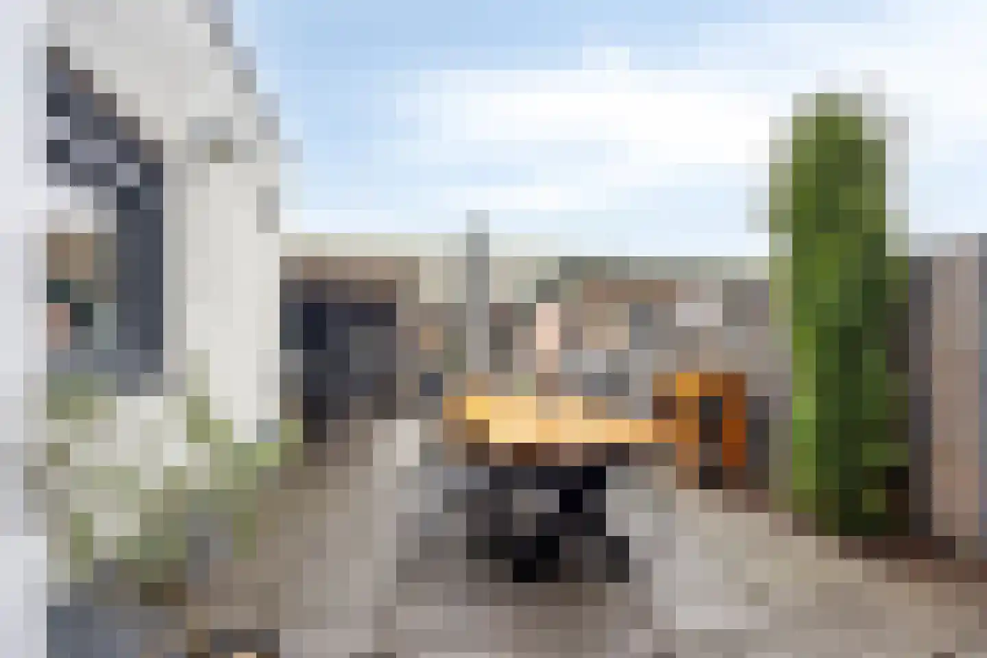 Wilhelminastraat 7 Dinteloord thumbnail 24