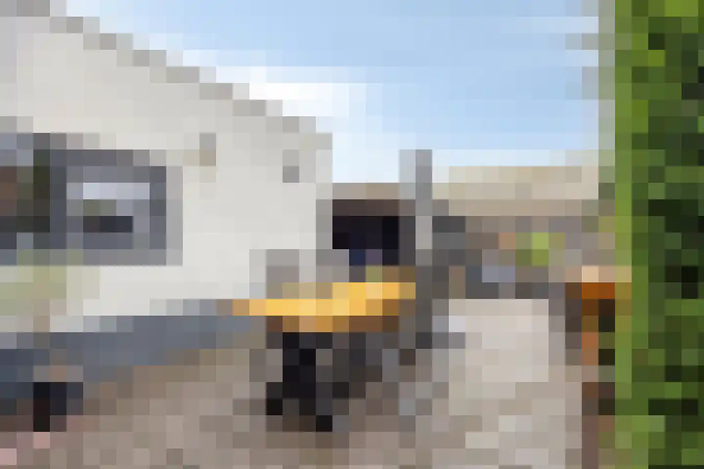 Wilhelminastraat 7 Dinteloord thumbnail 25