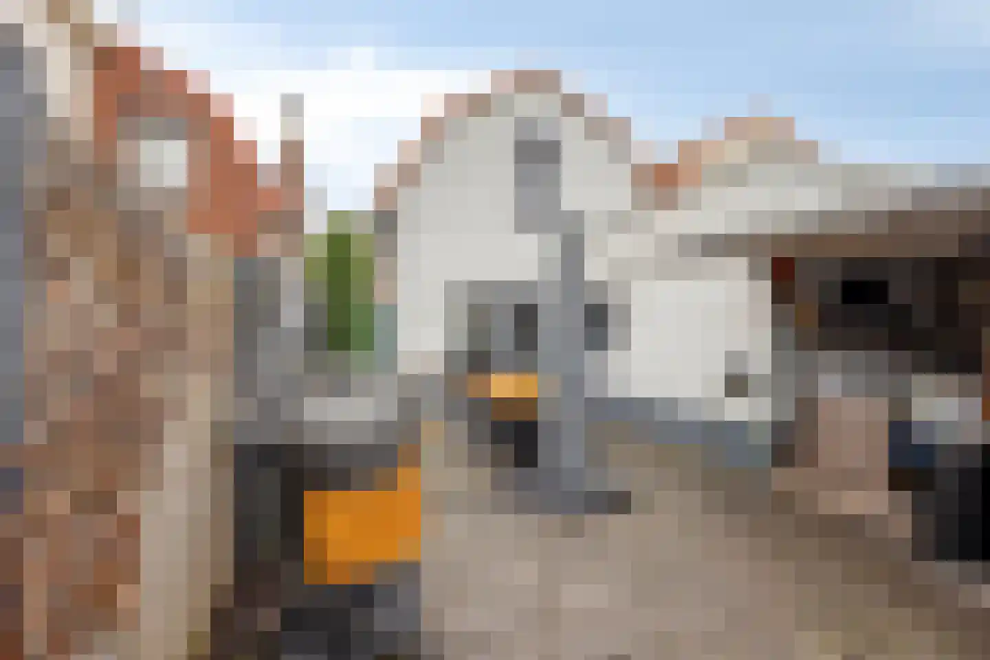 Wilhelminastraat 7 Dinteloord thumbnail 27