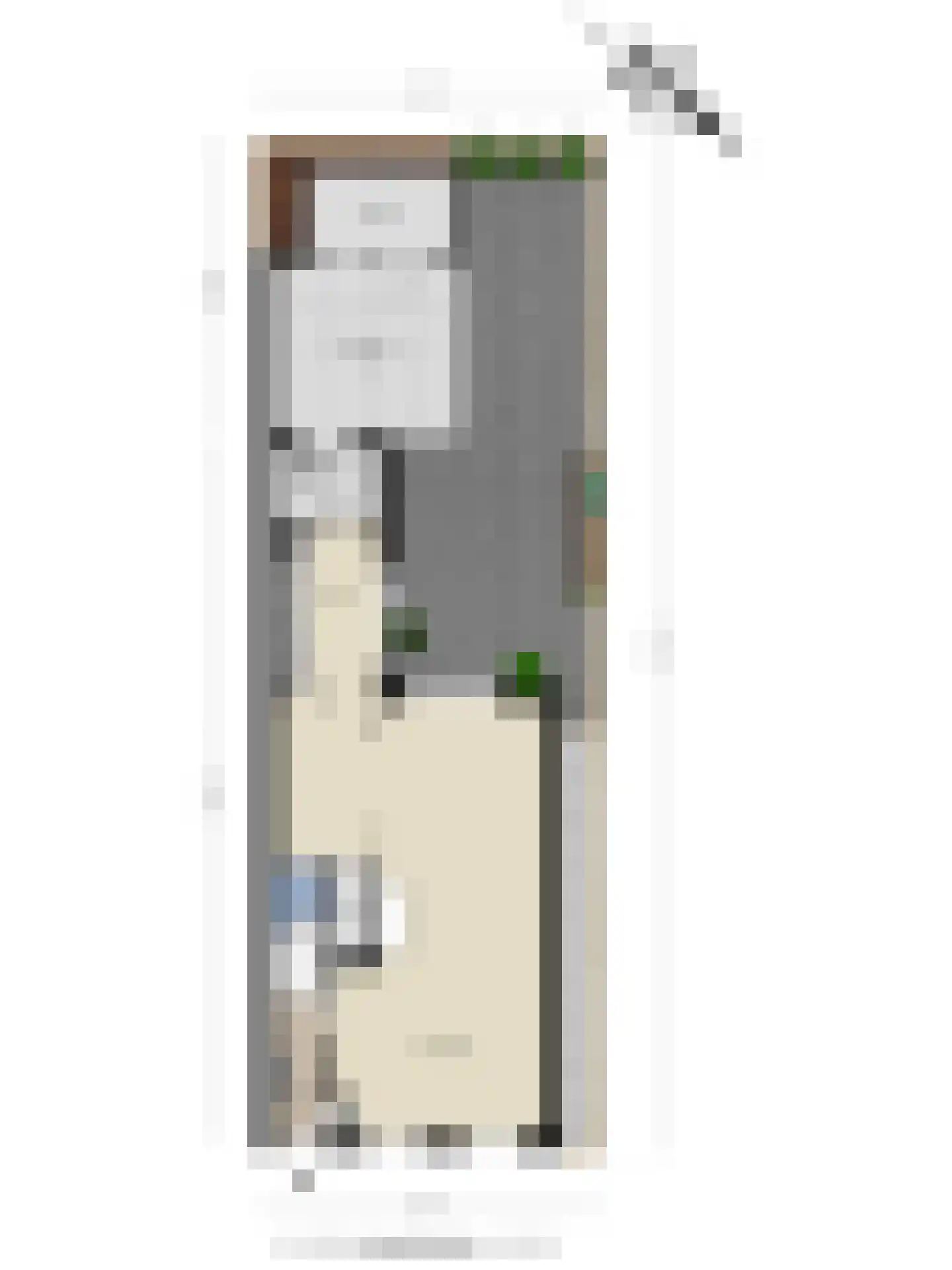 Wilhelminastraat 7 Dinteloord thumbnail 34
