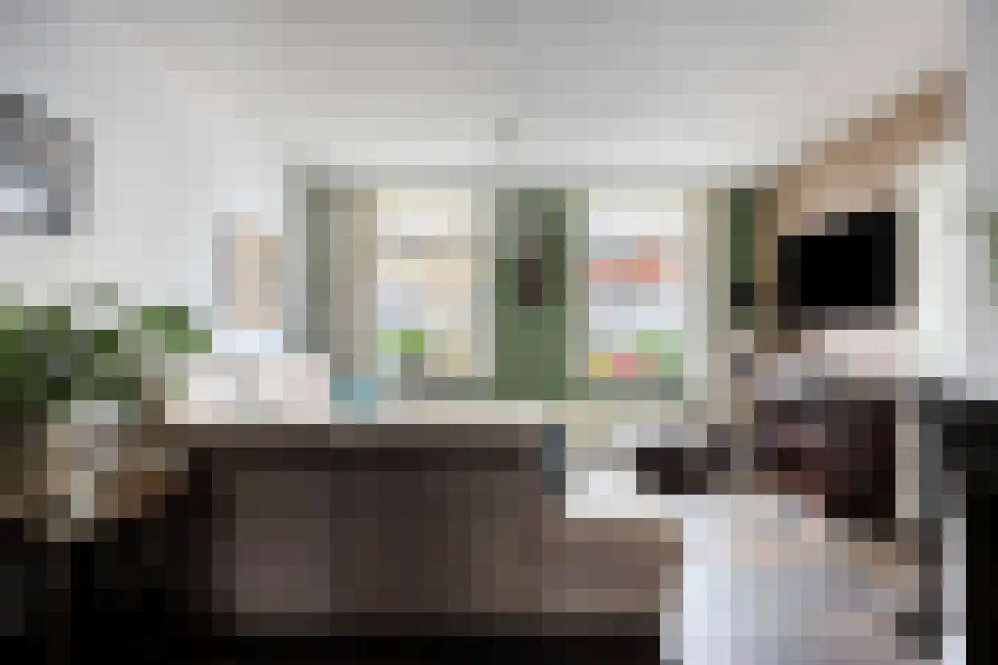 Wilhelminastraat 7 Dinteloord thumbnail 4
