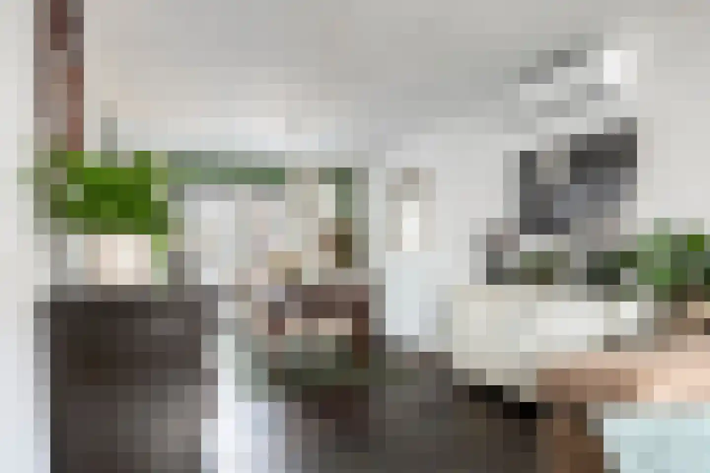 Wilhelminastraat 7 Dinteloord thumbnail 5