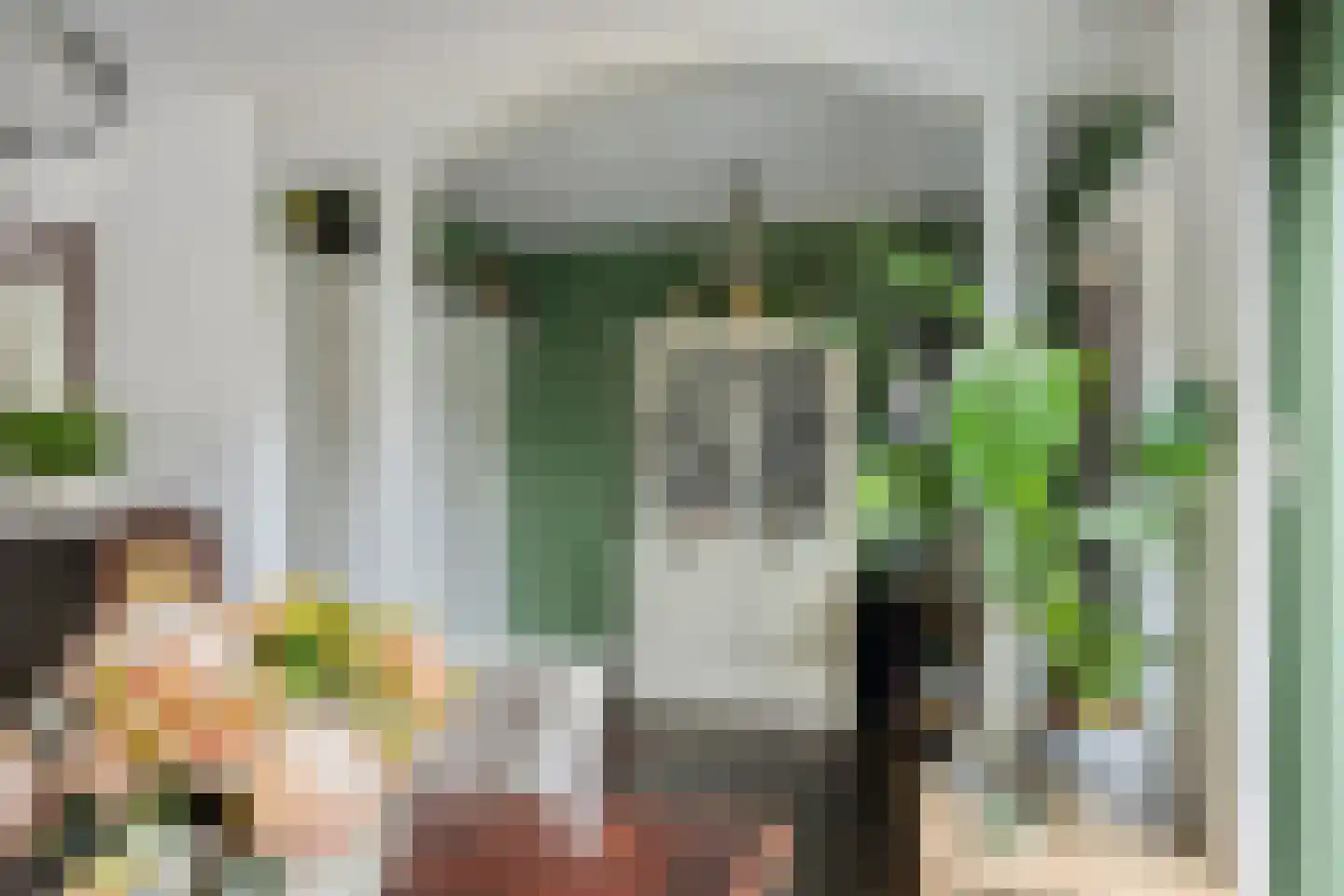 Wilhelminastraat 7 Dinteloord thumbnail 8