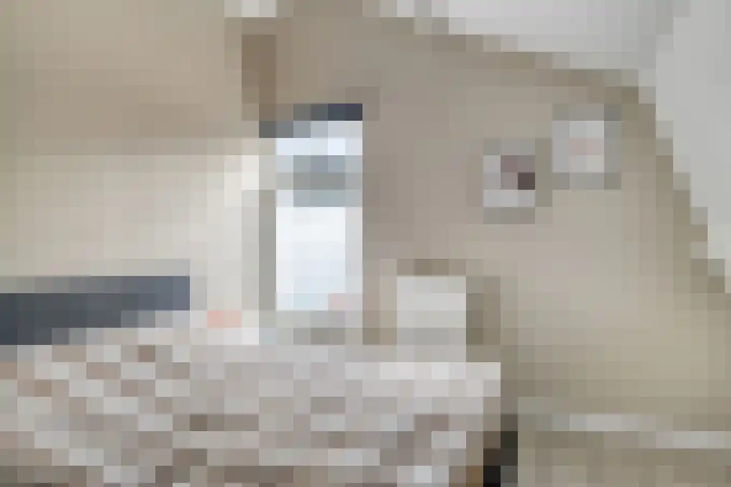 Wilhelminastraat 7 Krommenie thumbnail 15