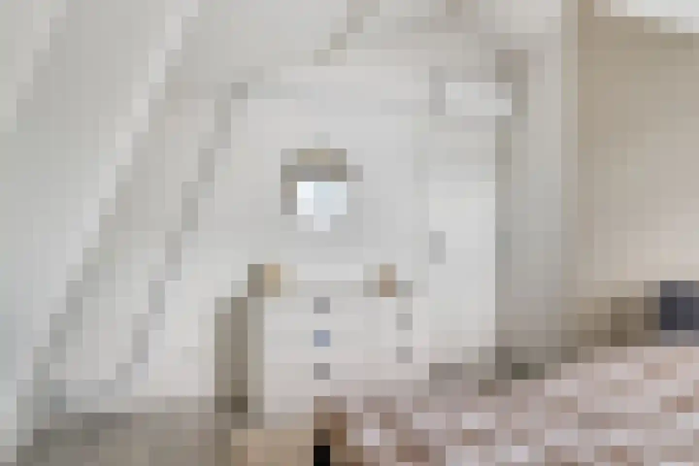 Wilhelminastraat 7 Krommenie thumbnail 16