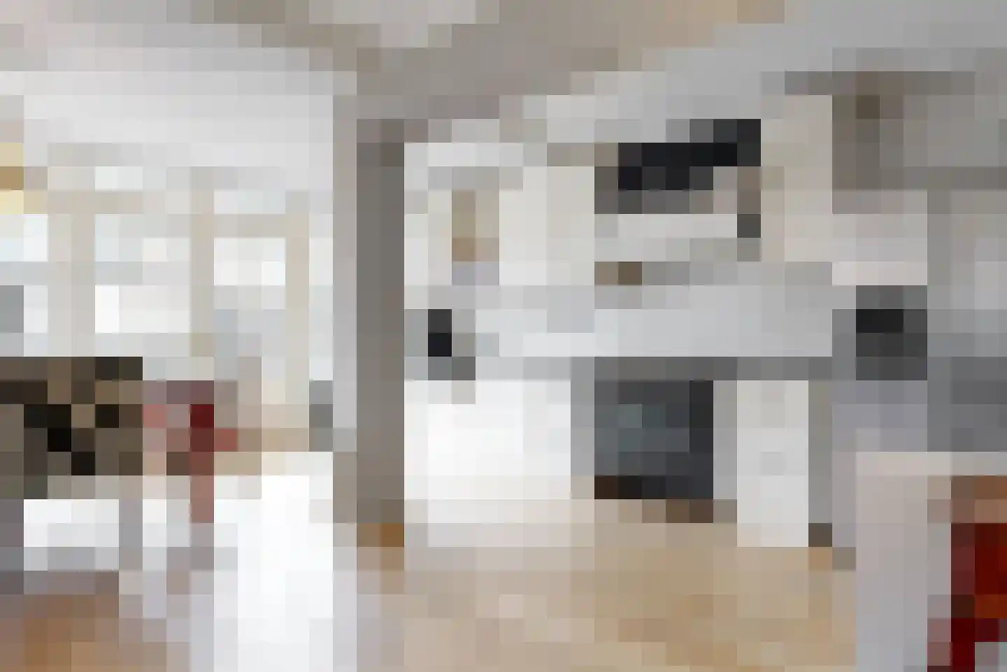 Wilhelminastraat 7 Leiderdorp thumbnail 11