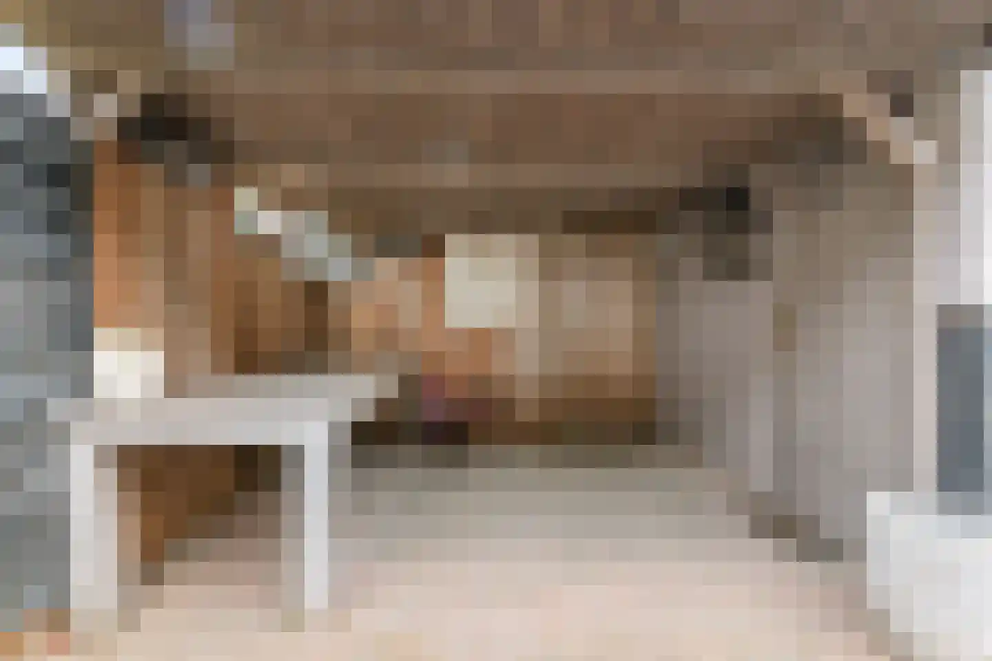 Wilhelminastraat 7 Leiderdorp thumbnail 39