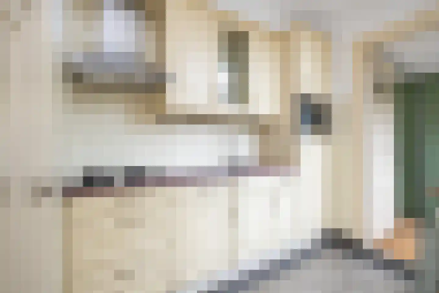 Wilhelminastraat 7 Middelharnis thumbnail 14