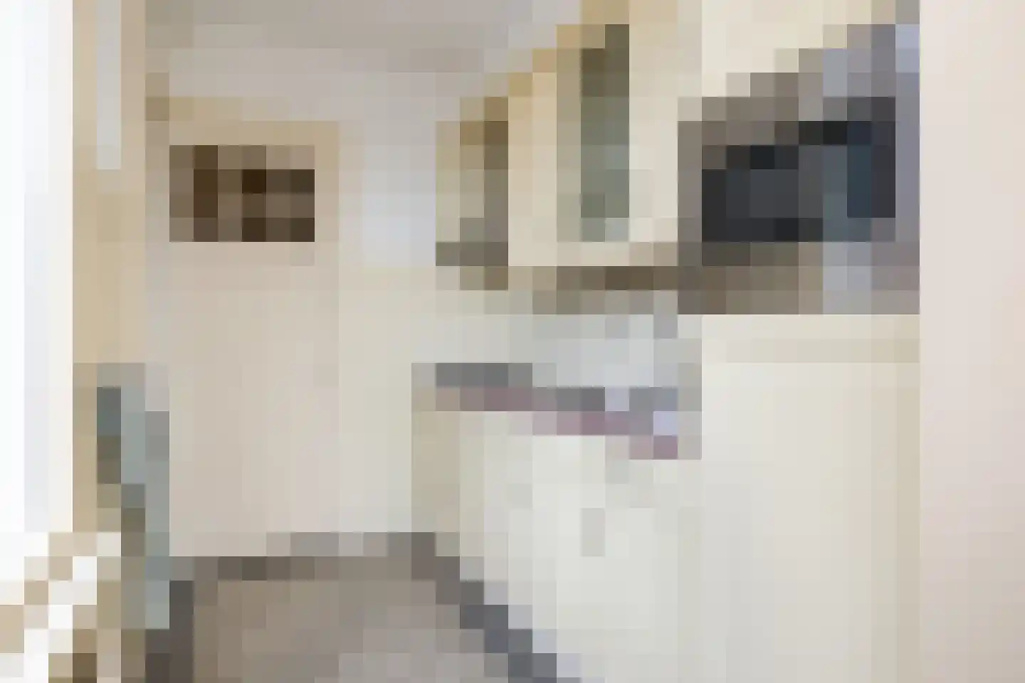 Wilhelminastraat 7 Middelharnis thumbnail 15