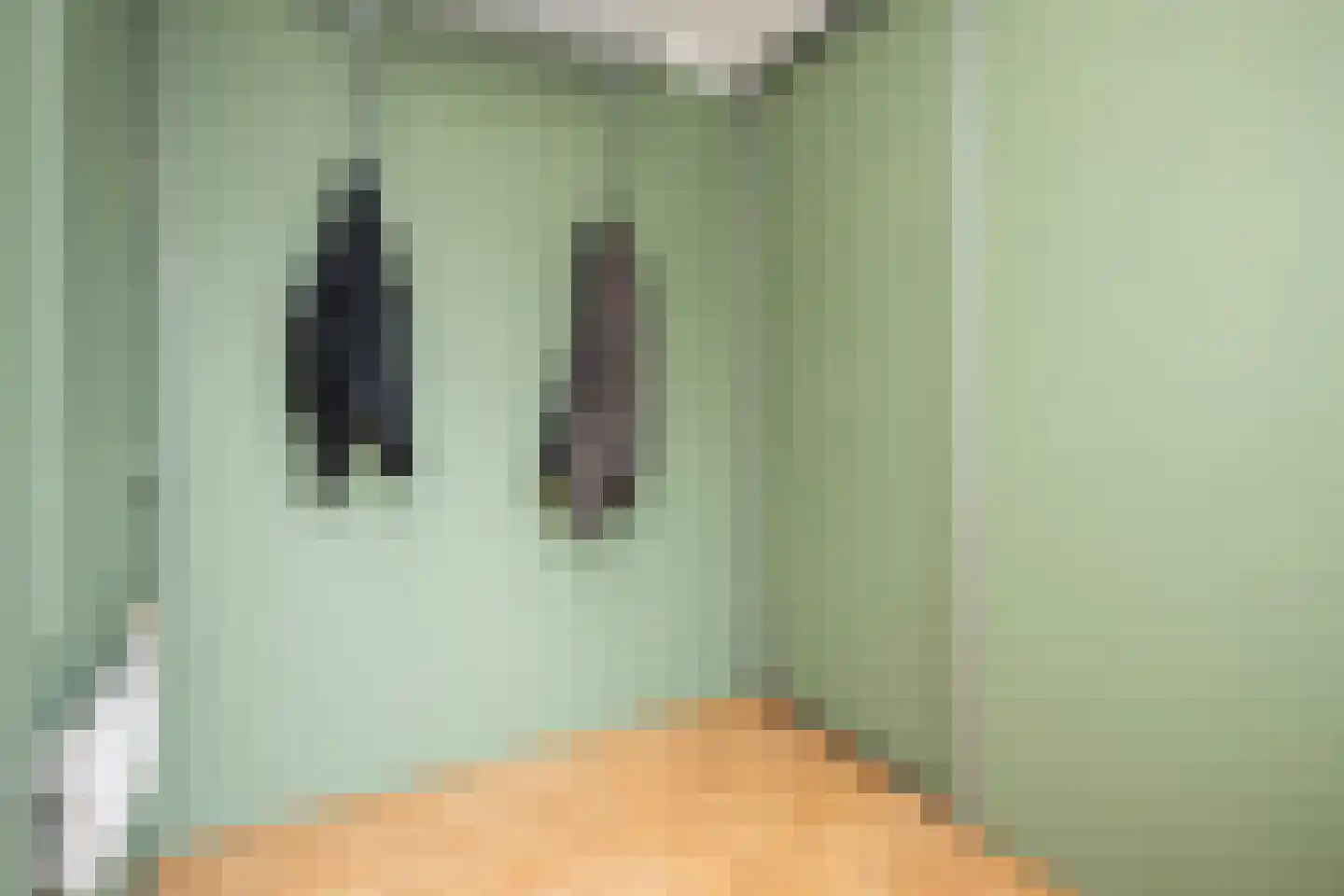 Wilhelminastraat 7 Middelharnis thumbnail 16