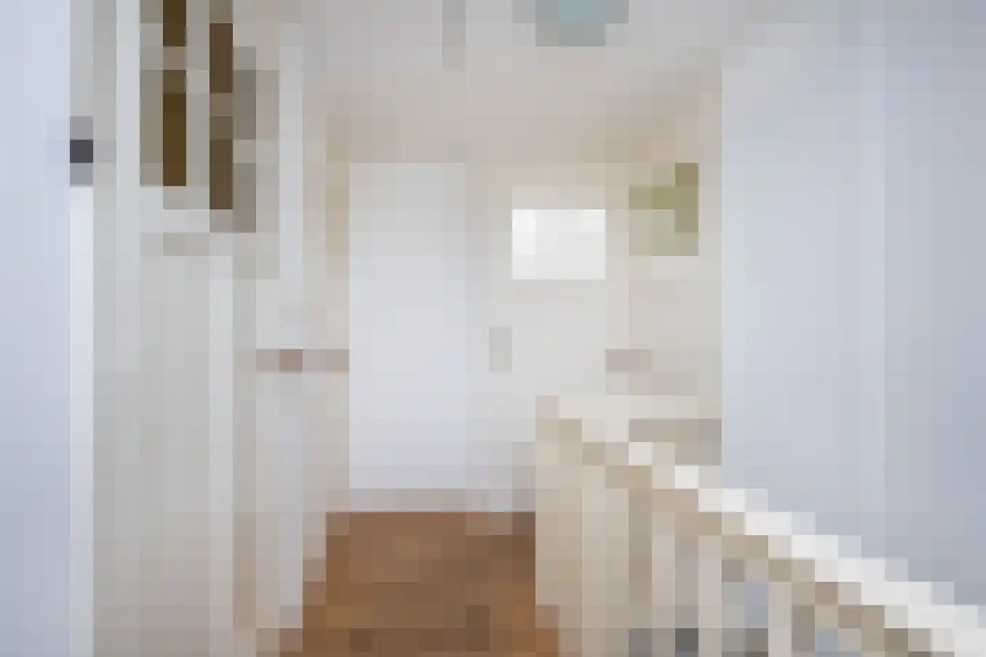 Wilhelminastraat 7 Middelharnis thumbnail 19
