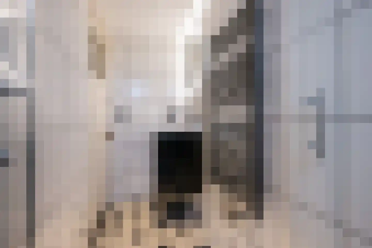 Wilhelminastraat 7 Middelharnis thumbnail 25