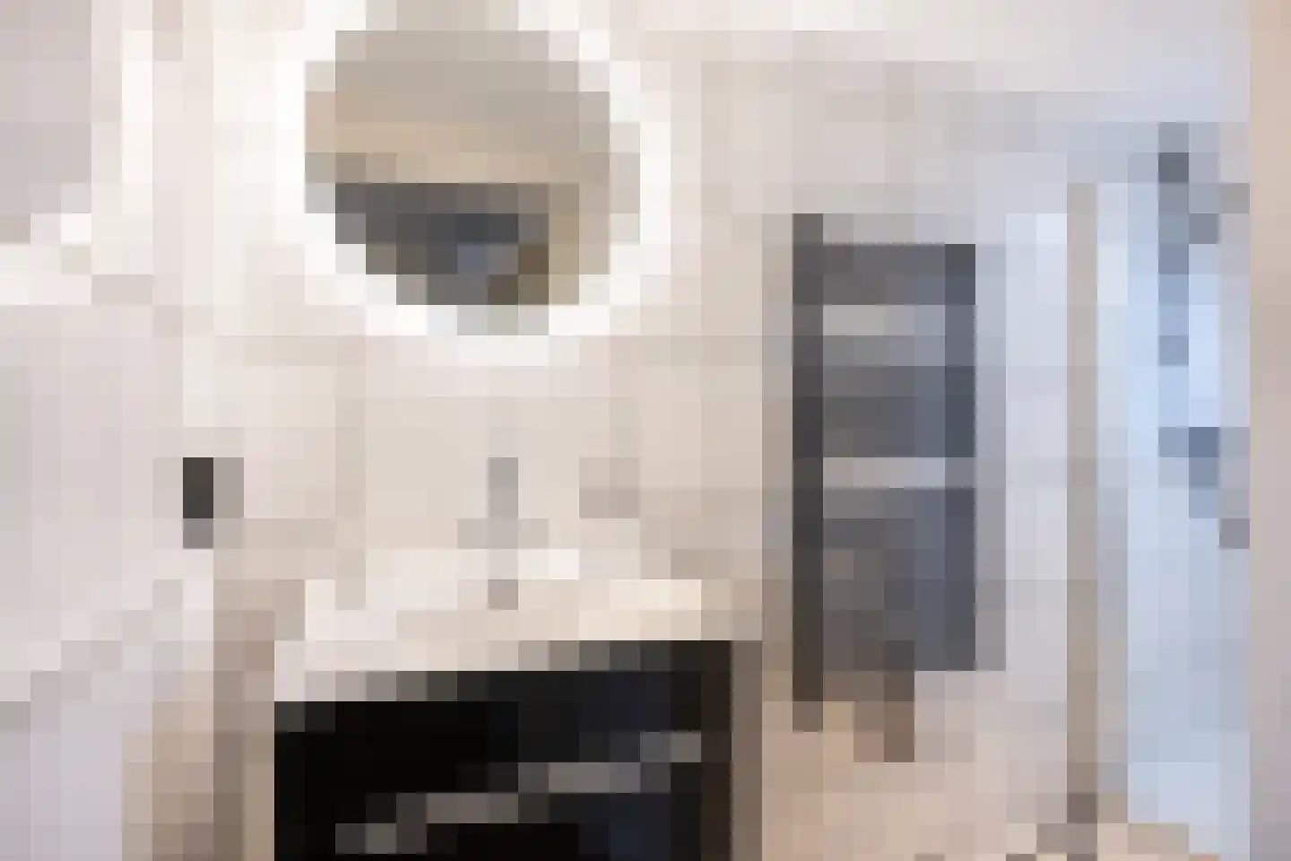 Wilhelminastraat 7 Middelharnis thumbnail 26