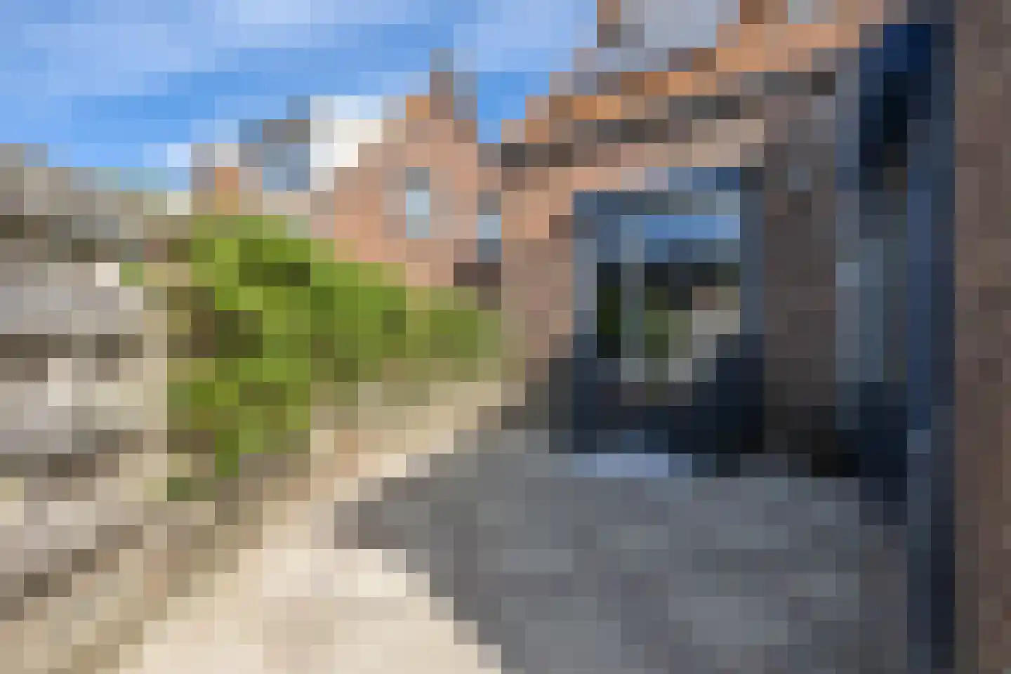 Wilhelminastraat 7 Middelharnis thumbnail 28